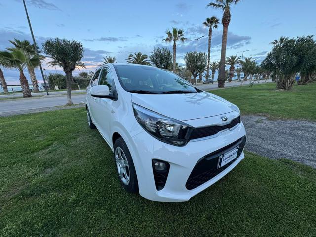 Kia Picanto 1.0 12V 5 porte Active usato a GROTTAMMARE