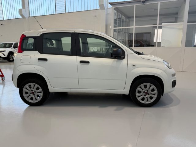 Fiat Panda 0.9 TwinAir Turbo Natural Power Easy unicopropriet - foto 4 di 4