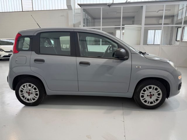 Fiat Panda 1.2 Easy PREZZO REALE - foto 4 di 4