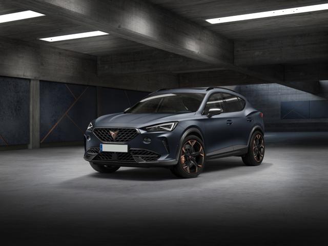 CUPRA Formentor 2.0 TDI 4Drive DSG usato a BARZAN�