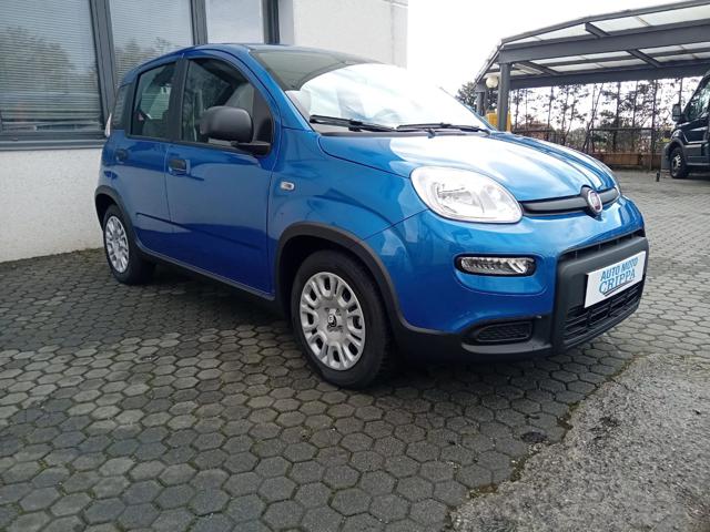 Fiat Panda 1.0 MILD HYBRID MANUALE PANDINA OK NEOPAT. KM ZERO - foto 3 di 4