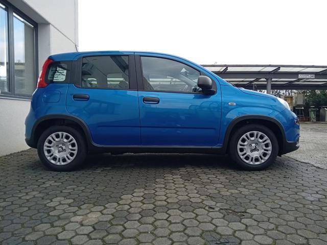 Fiat Panda 1.0 MILD HYBRID MANUALE PANDINA OK NEOPAT. KM ZERO - foto 4 di 4