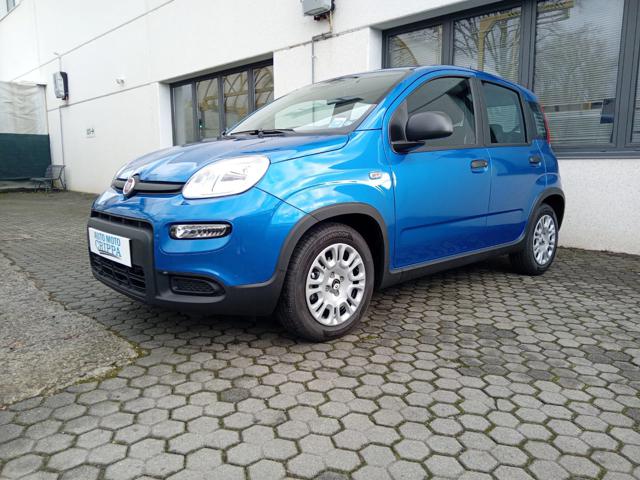 Fiat Panda 1.0 MILD HYBRID MANUALE PANDINA OK NEOPAT. KM ZERO usato a BARZANò