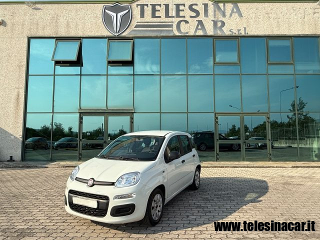 Fiat Panda 1.0 IBRIDA usato a SAN SALVATORE TELESINO