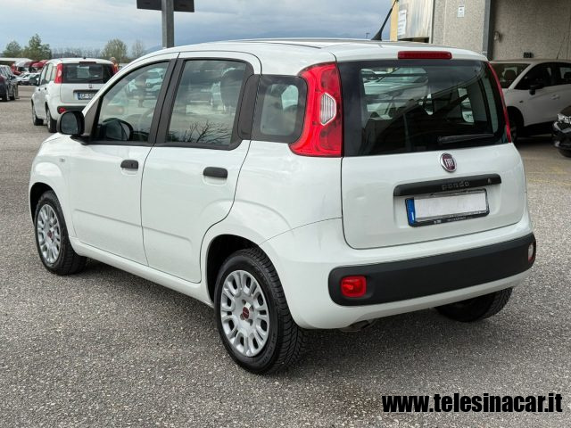 Fiat Panda 1.3 MJT AUTOCARRO 4 POSTI N1 usato a SAN SALVATORE TELESINO