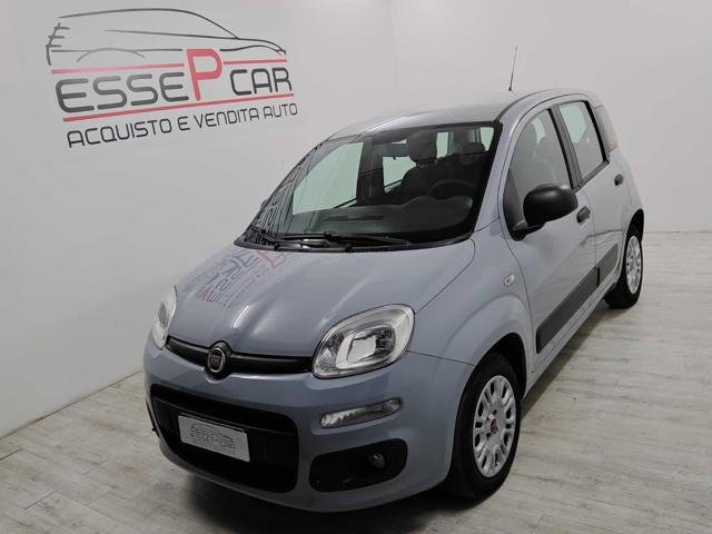 Fiat Panda 1.2 Lounge usato a GERENZANO