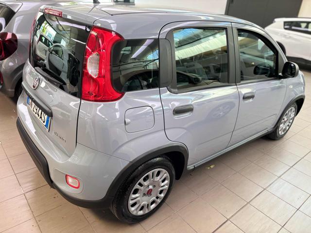 Fiat Panda 1.0 FireFly S&S Hybrid - foto 4 di 4