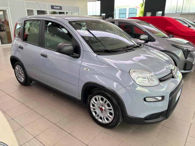 Fiat Panda 1.0 FireFly S&S Hybrid usato a PESARO