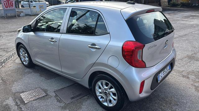 Kia Picanto 1.0 12V 5 porte Cool - foto 2 di 4