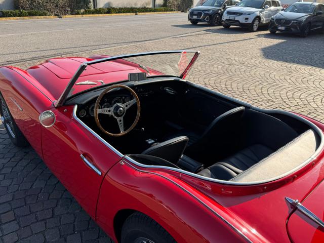 Austin Healey 100/6 - foto 4 di 4