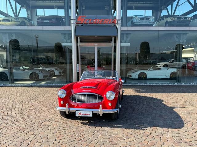 Austin Healey 100/6 usato a CASTIGLIONE DELLE STIVIERE