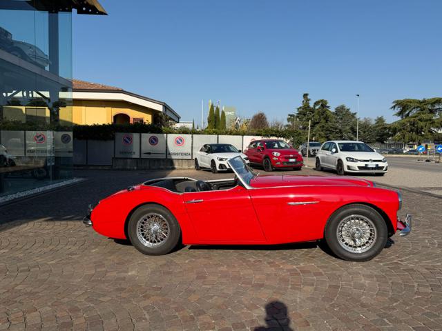 Austin Healey 100/6 - foto 3 di 4
