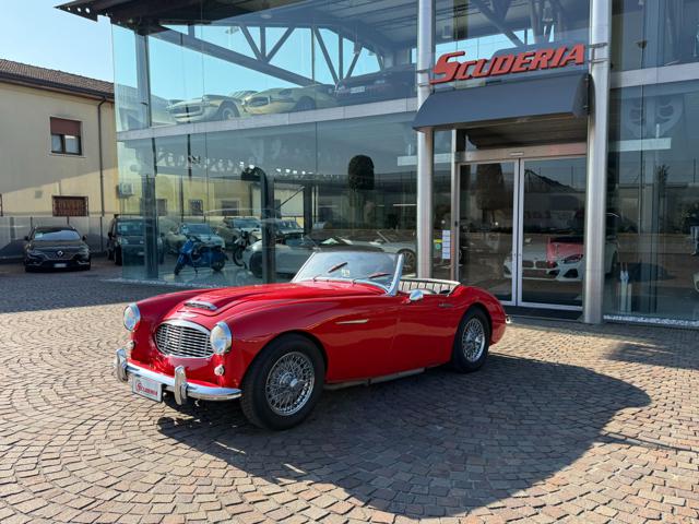 Austin Healey 100/6 - foto 2 di 4
