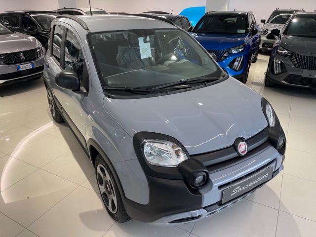 Fiat Panda 1.0 FireFly S&S Hybrid City Cross - foto 3 di 4