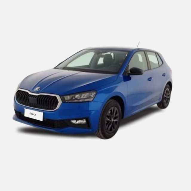 Skoda Fabia 1.0 MPI 80 CV Monte Carlo usato a MESSINA