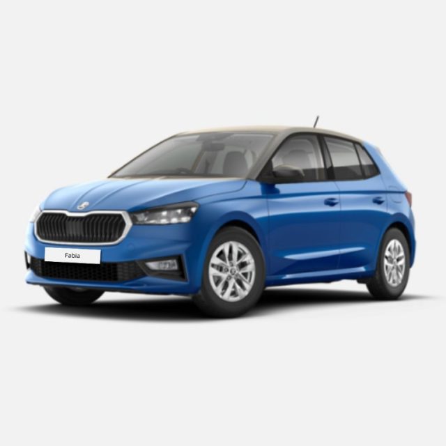 Skoda Fabia 1.0 MPI 80 CV Style usato a MESSINA