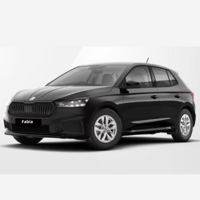 Skoda Fabia 1.0 MPI 65 CV Ambition usato a MESSINA