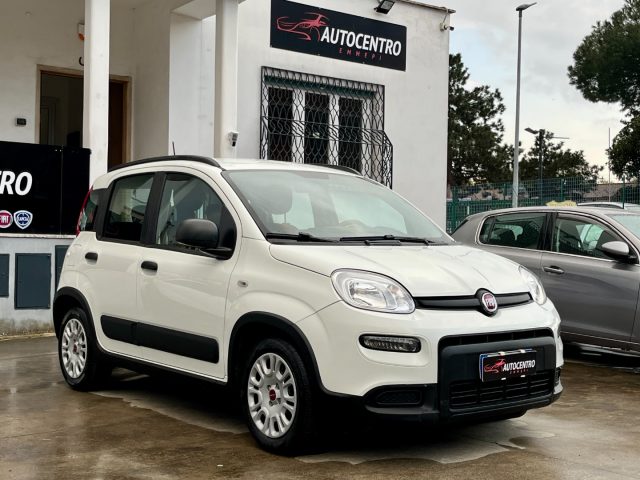 Fiat Panda 1.0 FireFly S&S Hybrid usato a ROMA