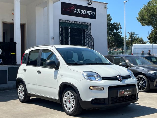 Fiat Panda 1.0 FireFly S&S Hybrid PREZZO REALE! usato a ROMA