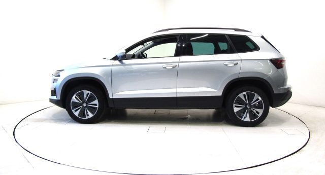 Skoda Karoq 2.0 TDI DSG Ambition 5P usato a ANDALO VALTELLINO