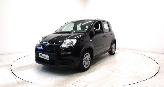 Fiat Panda 1.0 FireFly Hybrid * OK NEOPATENTATI * - foto 3 di 4