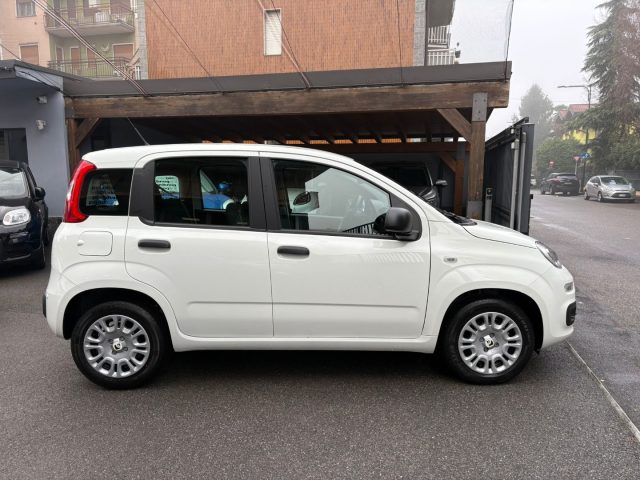 Fiat Panda 1.0 FireFly S&S Hybrid * PREZZO PROMO * - foto 3 di 4