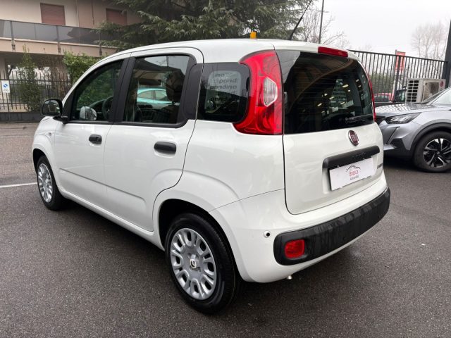 Fiat Panda 1.0 FireFly S&S Hybrid * PREZZO PROMO * - foto 4 di 4