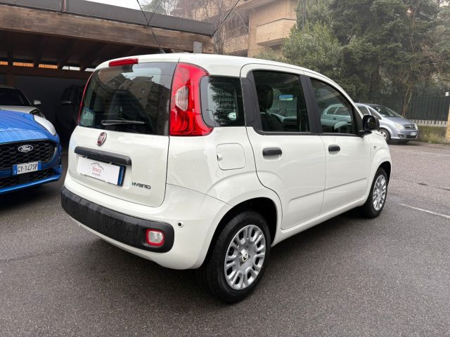Fiat Panda 1.0 FireFly S&S Hybrid * PREZZO PROMO * - foto 3 di 4