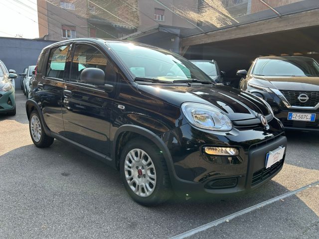 Fiat Panda 1.0 FireFly *PREZZO PROMO* usato a CINISELLO BALSAMO