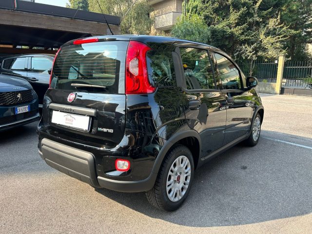 Fiat Panda 1.0 FireFly *PREZZO PROMO* - foto 4 di 4