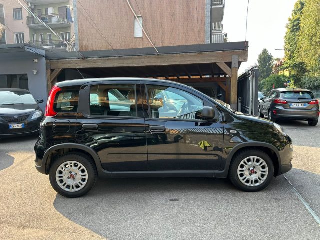 Fiat Panda 1.0 FireFly *PREZZO PROMO* - foto 3 di 4