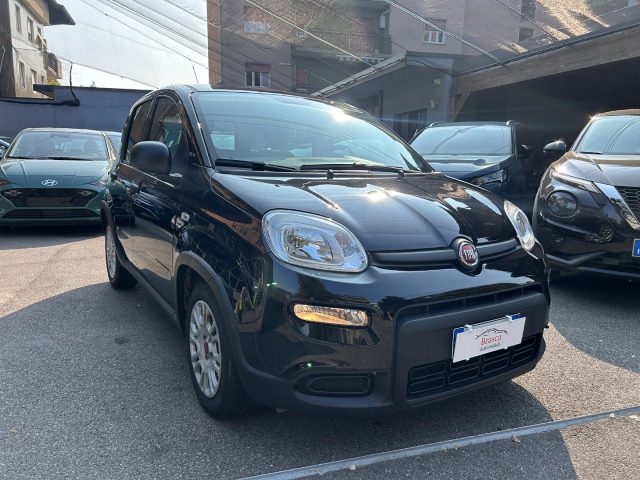 Fiat Panda 1.0 FireFly *PREZZO PROMO* usato a CINISELLO BALSAMO