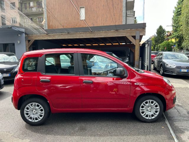 Fiat Panda 1.0 FireFly S&S Hybrid * PREZZO PROMO * - foto 3 di 4