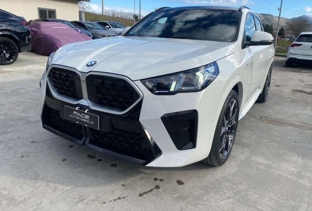 BMW X2 20i M SPORT M-SPORT MSPORT PDC ACC F1 20" - foto 4 di 4