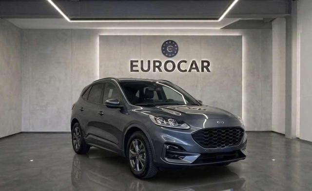 Ford Kuga 2.0 EcoBlue 120 CV aut. 2WD ST-Line, del 2024, 81.000 km, in vendita a Latina (LT)