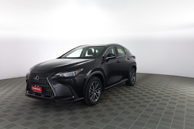Lexus Other NX NX Hybrid 4WD Business usato a VERONA