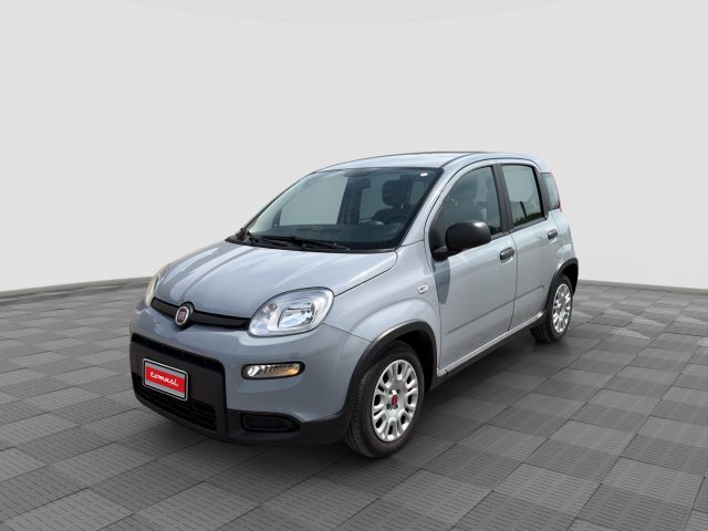 Fiat Panda Panda 1.0 FireFly Hybrid City Life usato a VERONA