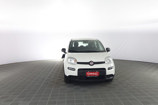 Fiat Panda Panda 1.0 FireFly S&S Hybrid usato a VERONA
