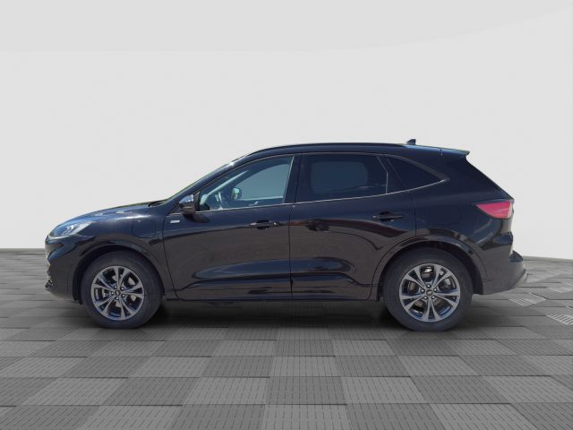 Ford Kuga Kuga 2.5 Plug In Hybrid 225 CV CVT 2WD ST-Line - foto 2 di 4