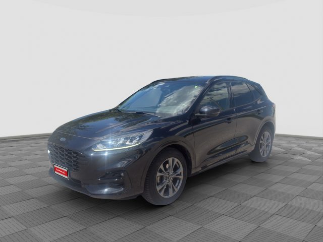 Ford Kuga Kuga 2.0 EcoBlue Hybrid 150 CV 2WD ST-Line usato a VERONA