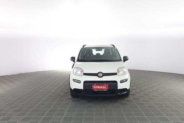 Fiat Panda Panda 1.0 FireFly Hybrid City Life usato a VERONA