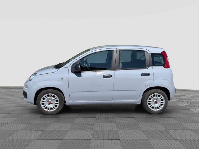 Fiat Panda Panda 1.0 FireFly Hybrid - foto 2 di 4