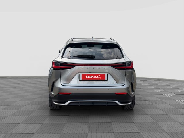 Lexus Other NX NX Hybrid 4WD F-Sport - foto 4 di 4