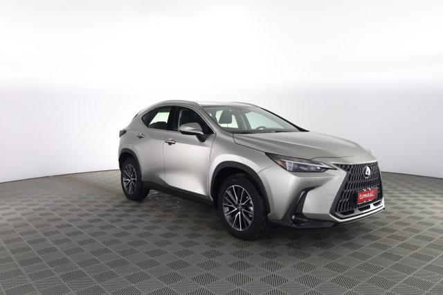 Lexus Other NX NX Hybrid 4WD Business - foto 2 di 4