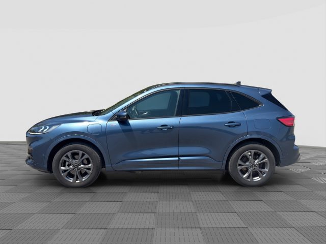 Ford Kuga Kuga 2.5 Plug In Hybrid 225 CV CVT 2WD ST-Line - foto 2 di 4