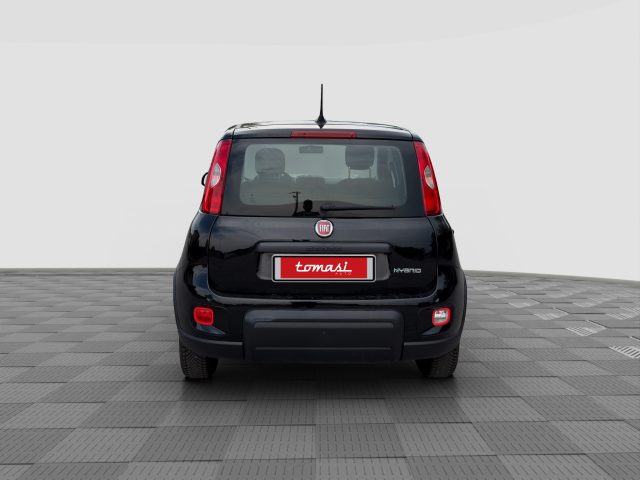 Fiat Panda Panda 1.0 FireFly S&S Hybrid - foto 4 di 16
