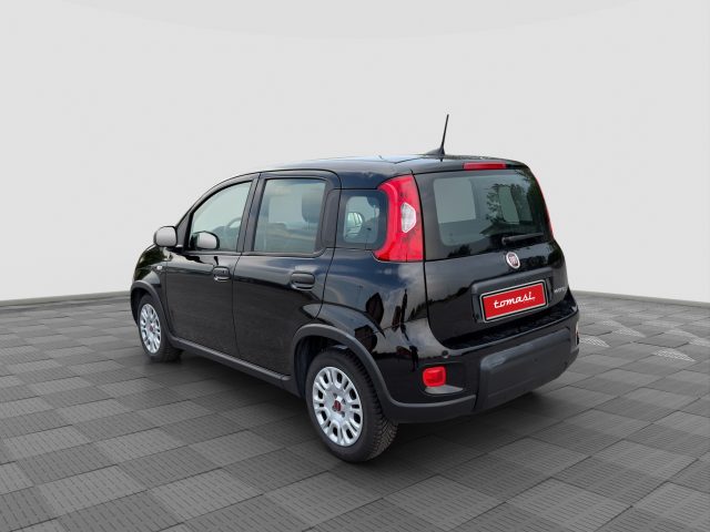 Fiat Panda Panda 1.0 FireFly S&S Hybrid - foto 3 di 16