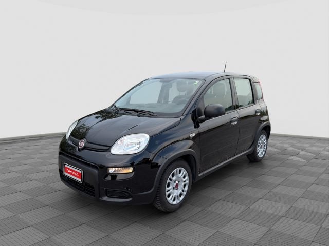 Fiat Panda Panda 1.0 FireFly S&S Hybrid, del 2024, 48.997 km, in vendita a Verona (VR)