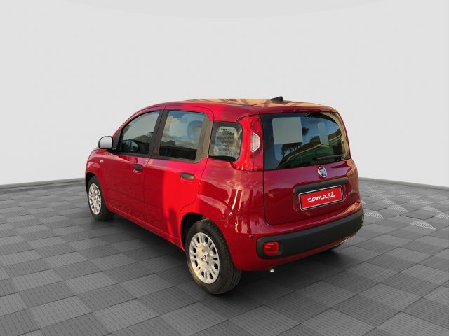 Fiat Pandina Pandina 1.0 FireFly 65 CV Hybrid Icon - foto 3 di 4