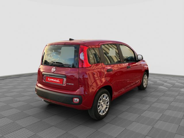 Fiat Pandina Pandina 1.0 FireFly 65 CV Hybrid Icon - foto 4 di 4